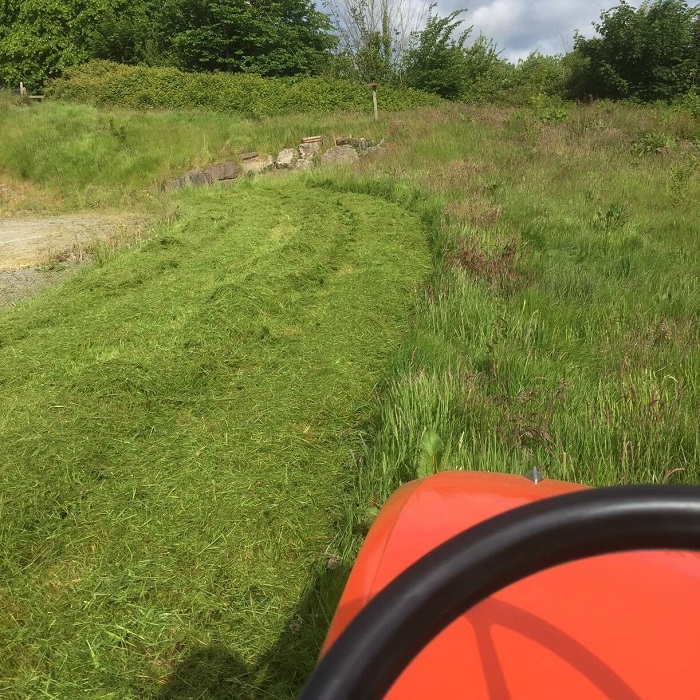 Grass Cutting Tramore