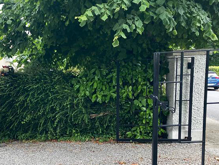 hedging-services-in-tramore
