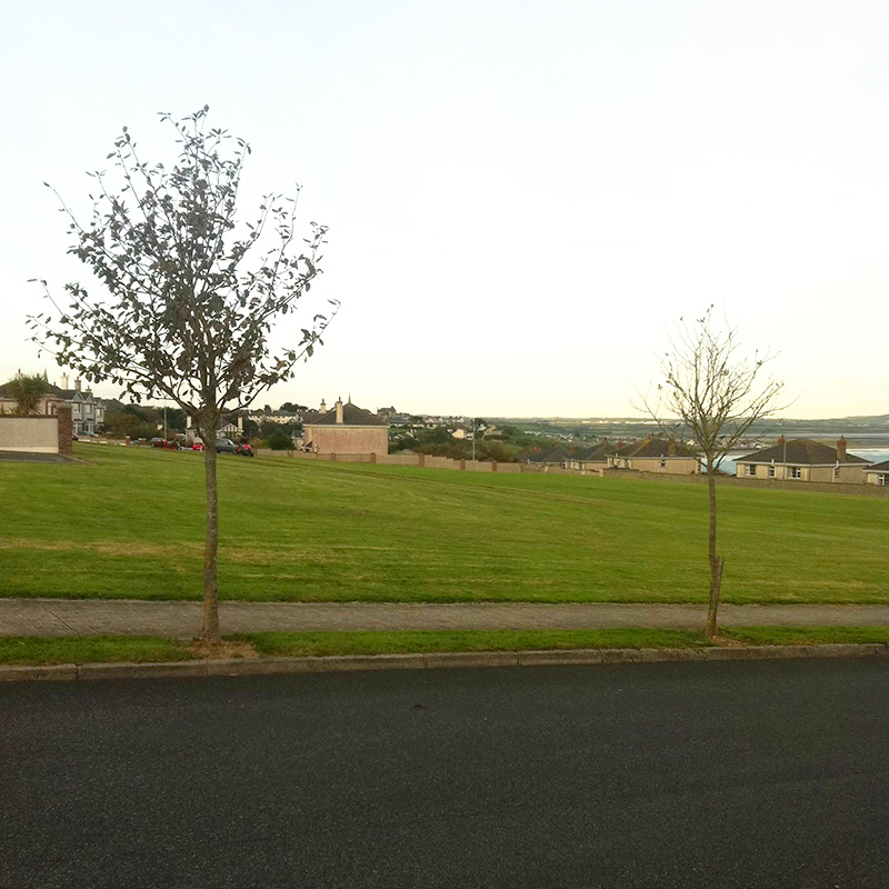 Landscape Maintenance Services in Tramore Landscape Maintenance Services in Tramore