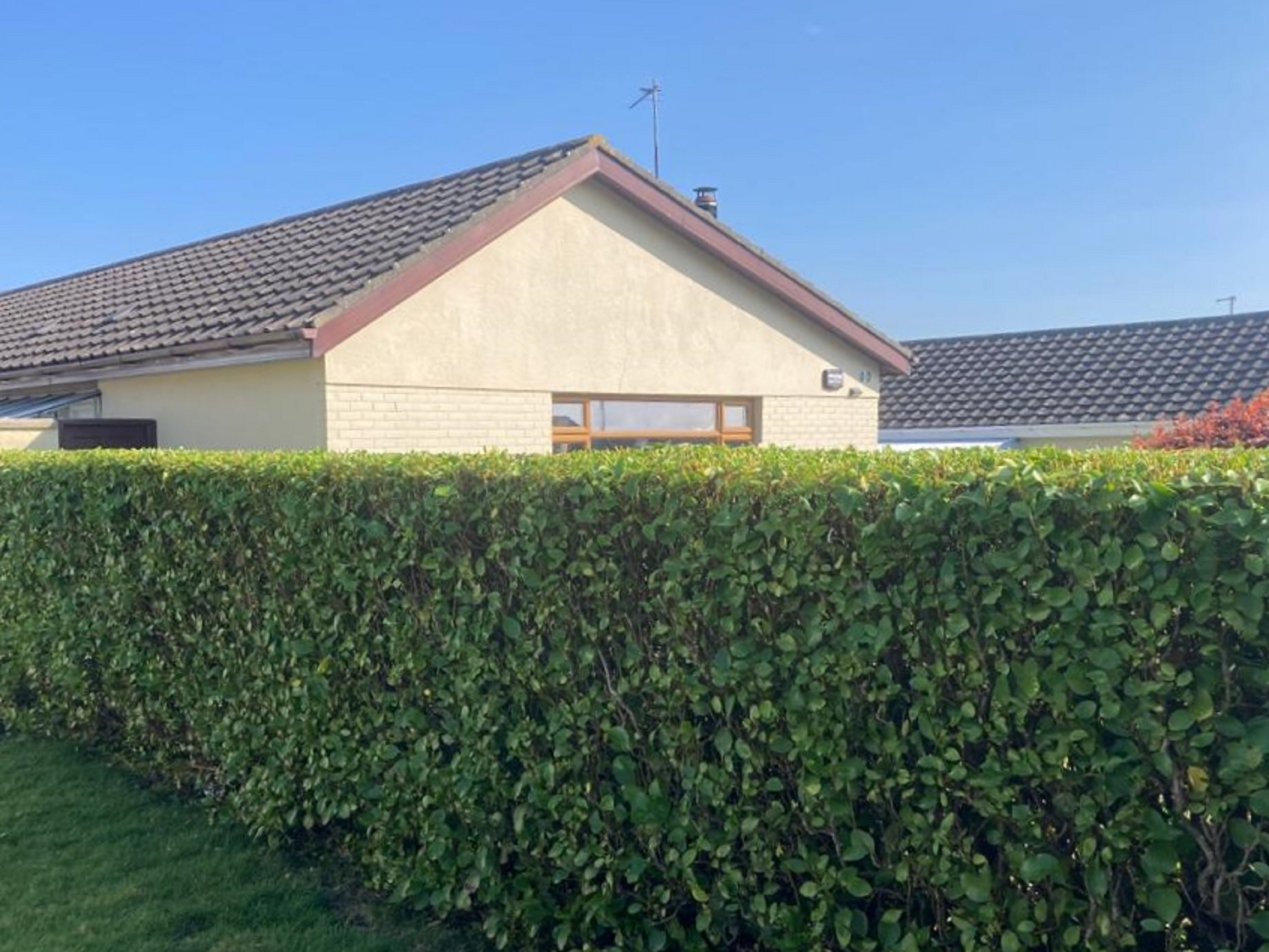 hedge cutting services tramore