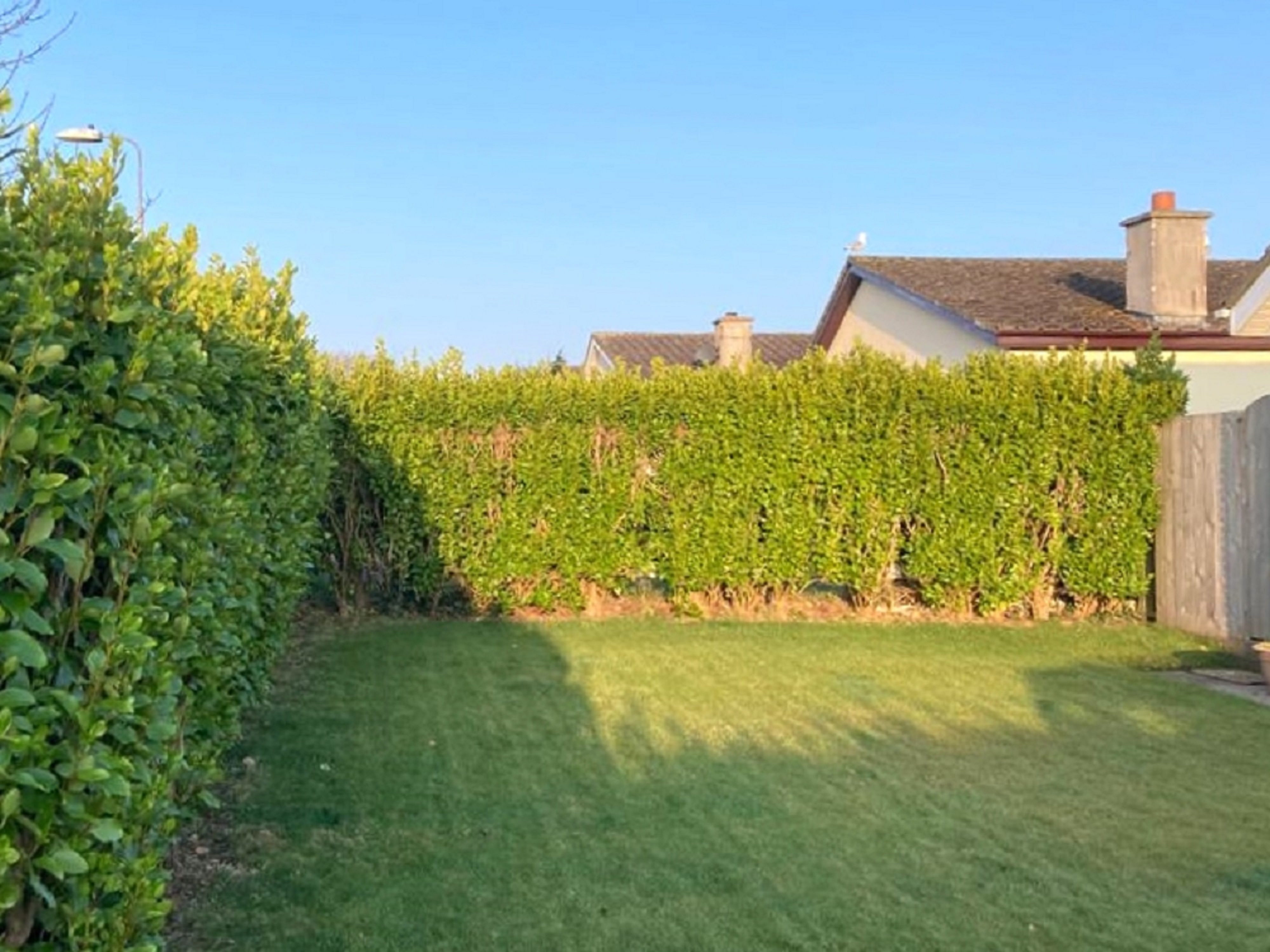 Hedge Cutting