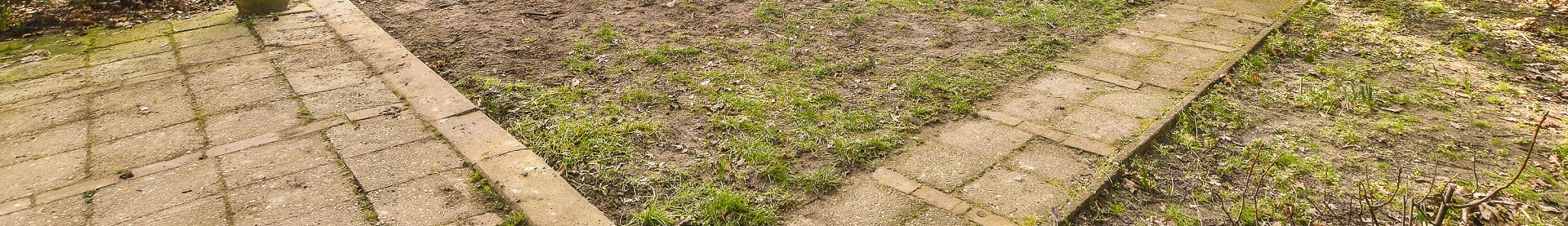 garden clearance waterford Garden Clearance services waterford