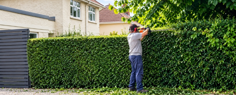 hedge cutting services tramore waterford hedge cutting services tramore waterford